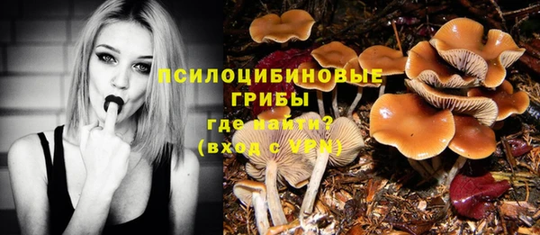 метадон Слюдянка