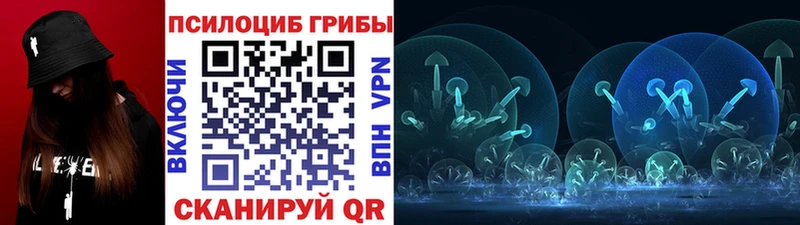 OMG зеркало  Зарайск  Галлюциногенные грибы Magic Shrooms 